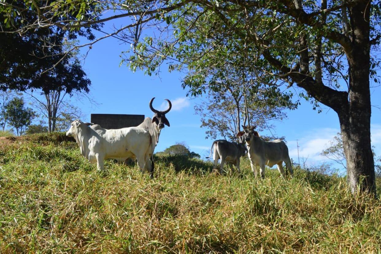 Hotel Fazenda Tucano Capim Branco ภายนอก รูปภาพ